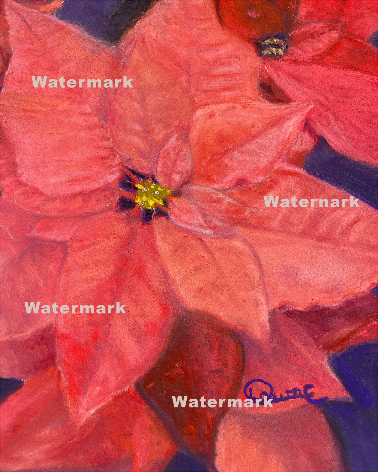 Poinsettia - Original Pastel Painting