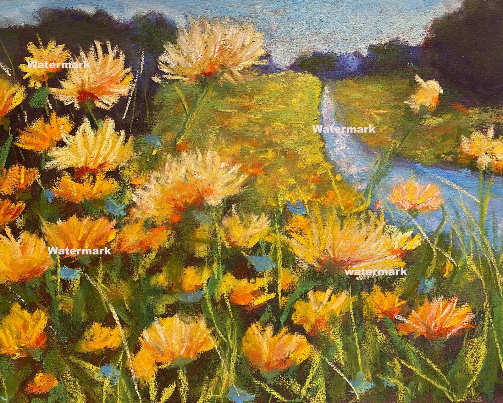 Daisy River - Fine Art Print