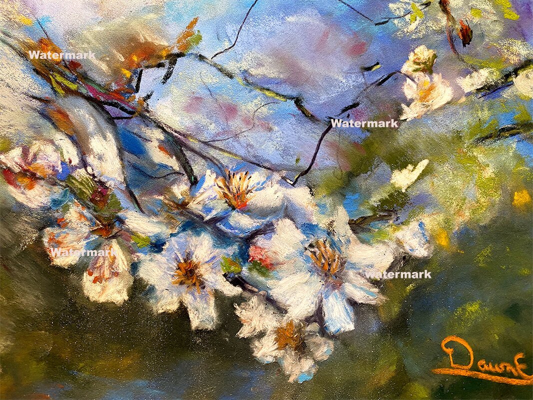 Dogwood - Fine Art Print