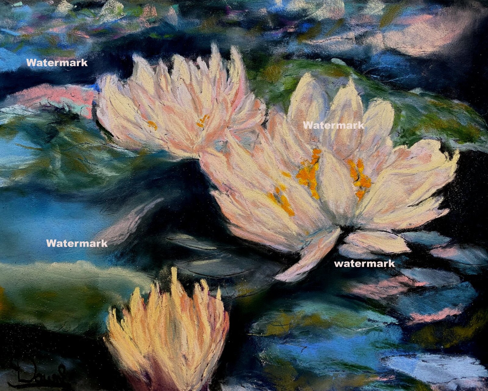 Pond Lillies - Fine Art Print