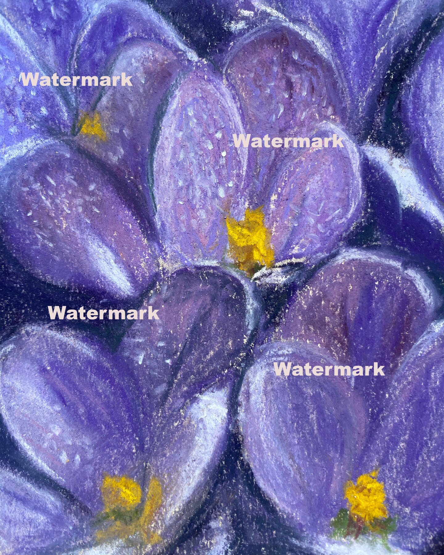 Violetes - Fine Art Print